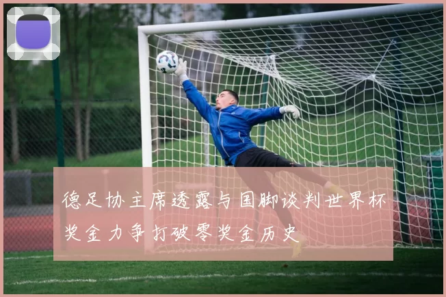 德足协主席透露与国脚谈判世界杯奖金力争打破零奖金历史